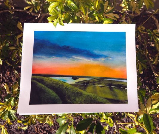 "Wandering" - Sarasota, FL