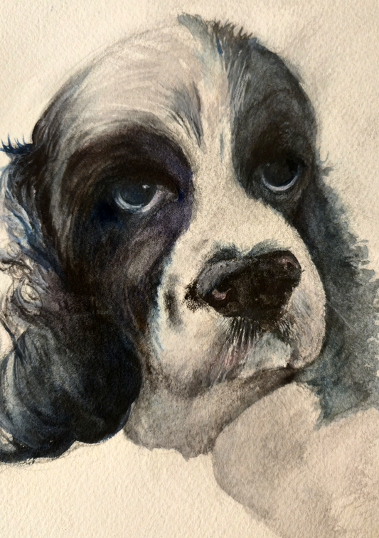 Custom Portrait (white background)